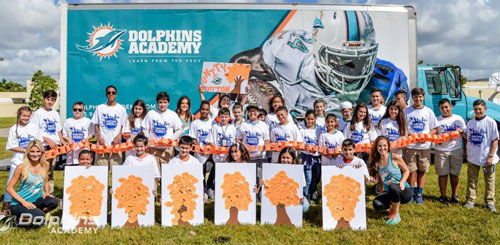 dolphins-academy